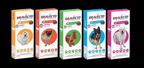 Bravecto® - Protege a tu Perro contra pulgas y garrapatas
