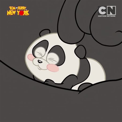 30K views · 1.3K reactions | Tom makes a pretty good panda-sitter?  : #TomAndJerryInNewYork on #CartoonNetwork all day today (2 Feb) from 6AM (SG/MY) & 5AM (TH/ID) | 8AM (TW). Also from Feb 8 Tuesday & Wednesday 6AM - 12AM (PH) | Cartoon Network | Facebook