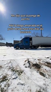 😂😂😂 pues ella dijo #vidtrucking #viral #trucker #humor #blindside | VidTrucking