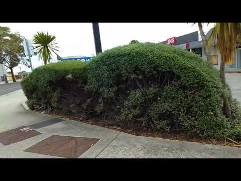 Springvale station, VIC