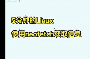 5分钟的Linux-使用netfetch收集信息