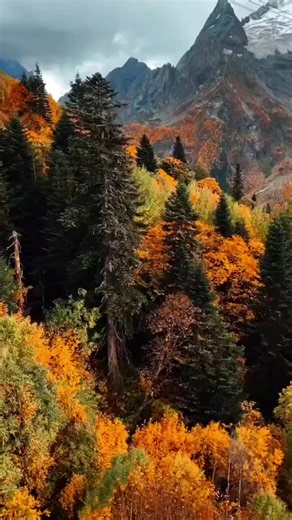 #Музыка #красота природы🌿🌼🌺 | Beautiful Nature Videos