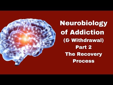 Neurobiology of Addiction Part 2 | Quickstart Guide