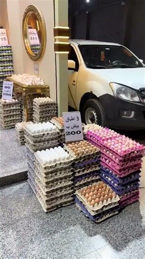 دكتور ضياء العوضى وأسعار البيض