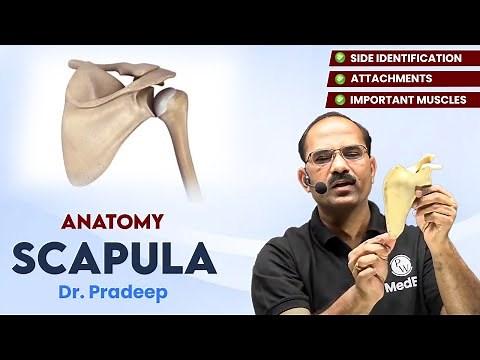 Scapula | Anatomy | Hard Parts Made Easy with Dr. Pradeep Pawar