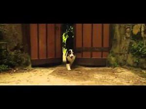 Fünf Freunde 2 - Offizieller Trailer 2013 Germen Deutsch