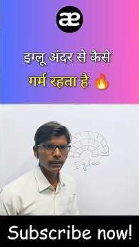 IGLOOS Are Warmer Inside Than Outside | Science behind the igloo architecture | Alfa Educators