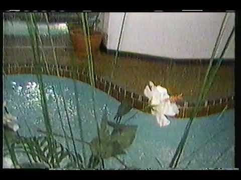 Sybaris romantic getaways commercial 1986