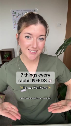 Essential Care Tips for Your Pet Rabbit