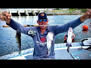 WORLDS EASIEST CATFISH RIG !!! CATFISH Catch Clean & Cook (How to tie my favorite knot)