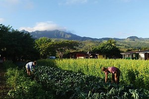 How to choose a sustainable volunteering project