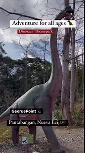 #Georgepoint #NuevaEcija #pantabangantourism #TravelGoals #summertime #weekendgetaway #dinosaur | George Point