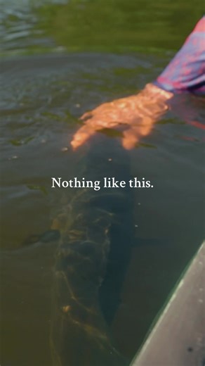 Bass Fishing Techniques: Watch Her Dive Deep