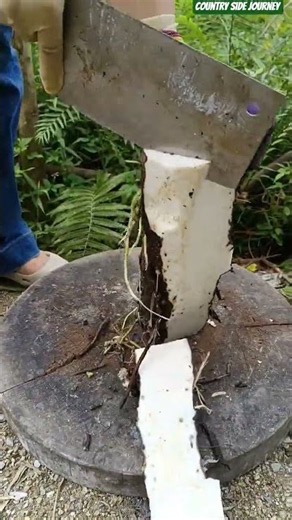🌱🔪 Wild Yam Root Peeling: Cleaver Knife Trimming Cassava Bark