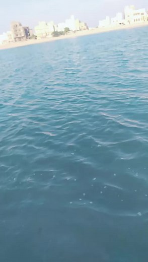 Calm Ocean View with Clear Blue Sky