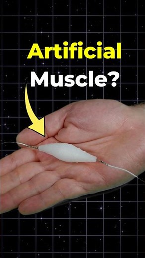 Artificial Muscles That Move Like Real Muscles 🤖💪