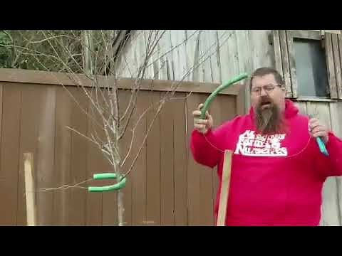 How to Properly Stake Your New Trees