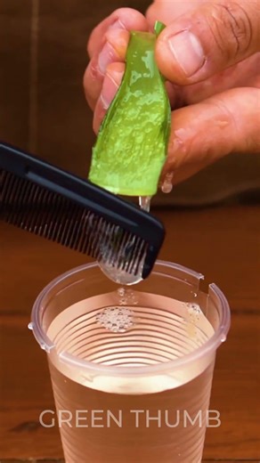 Year Round Propagation: Secret Techniques to Multiply Your Plants Regardless of the Season