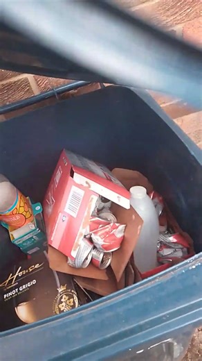 rubbish in the bin S2 E15