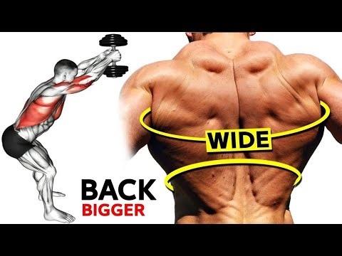 Back workout with Dumbbells | 8 Perfect Exercises For WIDER Back ✅️