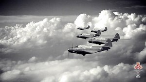 29K views · 357 reactions |  Create a stunning garden while supporting the Royal Canadian Legion and the Canadian Tulip Legacy. Order your limited edition Liberation75  tulip bulbs  today! Bags of 15 bulbs are only $15! | Canadian Tulip Festival - Festival canadien des tulipes | Facebook