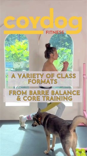 Not Your Typical Online Workout! Welcome to Coydog Fitness