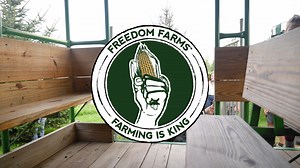 Today is the BIG day! Fall Festival! Come get a tractor ride to all your favorite farm activities! 11AM-5PM ... #FreedomFarms #FallFestival #FallFun #HarvestFestival #PumpkinPatch #FallVibes #CornMaze #FamilyFun #FallActivities #FestivalSeason #FallColors #FallHarvest #Hayrides #CiderTasting #FallTraditions #FestivalFood #LiveMusic #PumpkinPie #Fall #Autumn #PumpkinSeason #SweaterWeather #LeavesChanging #CozyFall #HarvestSeason #FallInLove #fallstyle #falloutfit | Freedom Farms | Facebook