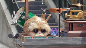 Attractions Magazine on Reels