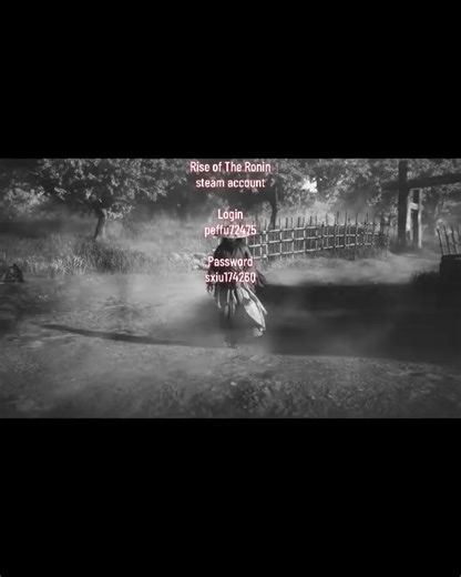 Rise of The Ronin: Acheter et se connecter au jeu