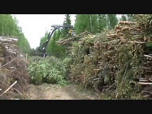 Moipu 230 E Energieholzzange 810D Timberjack