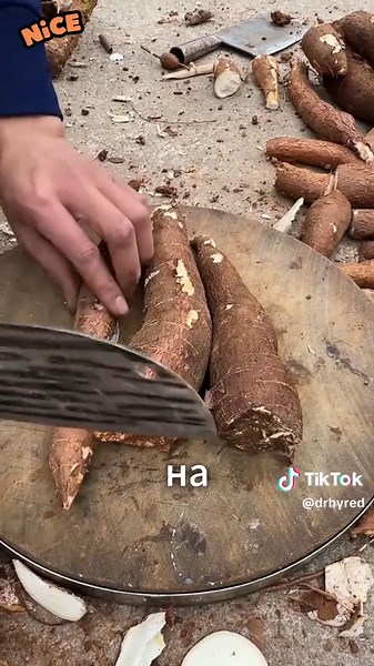 Fascinating River Stories from Reddit