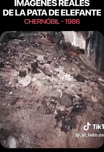 La Pata de Elefante es una enorme masa de corium radiactivo que se formó en el sótano de la central nuclear de Chernóbil después del desastre de 1986. Existen muy pocas grabaciones reales de este objeto. En los primeros años después del accidente, la radiación cerca de la masa era tan intensa que podía dañar cámaras y volverse mortal para una persona en cuestión de minutos.