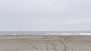 Tsunami advisory lifted for Bay Area as waves hit California coast