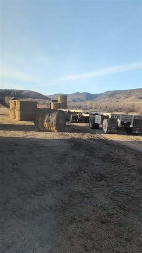 unloading hay in January
