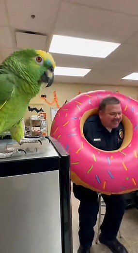 PARROT Roasts Cop's Donut Costume & "Stale" Performance! 🦜🍩😂 | Global Weird News