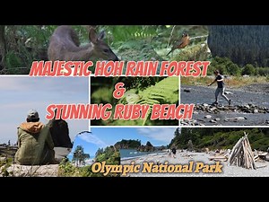 Exploring the Best of Olympic National Park: Hoh Rain Forest + Ruby Beach