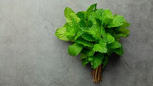 6 Scientifically Backed Health Benefits Of Mint