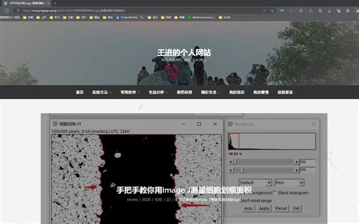 手把手教你用Image J测量细胞划痕面积及批量操作