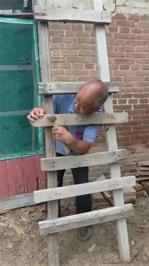 small problems evolution!!!!!