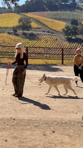 How to Handle a Long Line Like a Pro