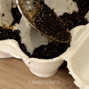 6.5K views · 22 reactions | How to make a coffee scented scrub #beauty #diy | 5-Minute Workouts | Facebook