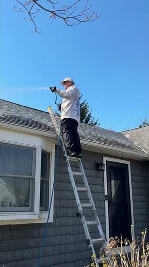 House Soft Wash and Roof Cleaning Satisfying Transformation #pressurewashing