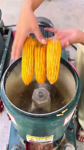 New roller rolling chicken feed pellets maker