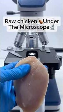 Raw Chicken Under the Microscope