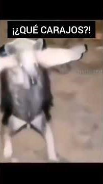 ¡Nahual captado en cámara! (Bruja SE TRANSFORMA)