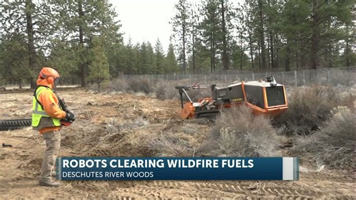 BurnBots at work: Bend Fire using robots to clear wildfire fuels in Deschutes River Woods
