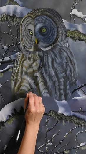 Acrylic Painting of a Great Grey Owl | Work In Progress
