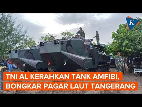 TNI AL Bersiap Bongkar Pagar Laut Tangerang, Kerahkan 3 Tank Amfibi