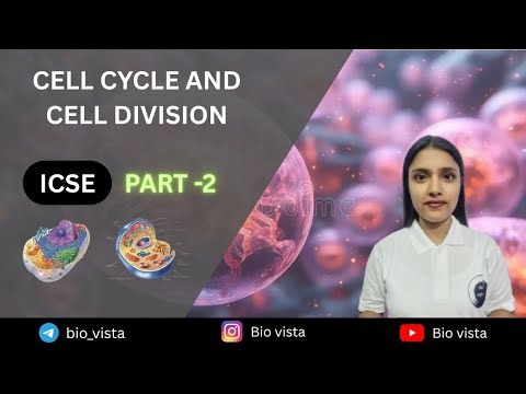 Cell Cycle & Cell Division | Meiosis & Chromosomes Explained | ICSE Class 10 Biology | Bio Vista