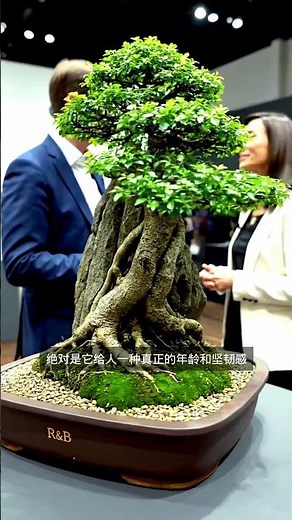 🌳 Top Bonsai Styles That Will Inspire You